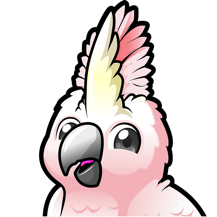Cockatoo
