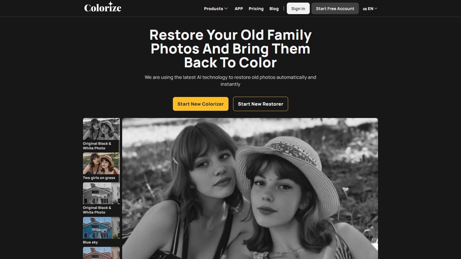 ImageColorizer截图