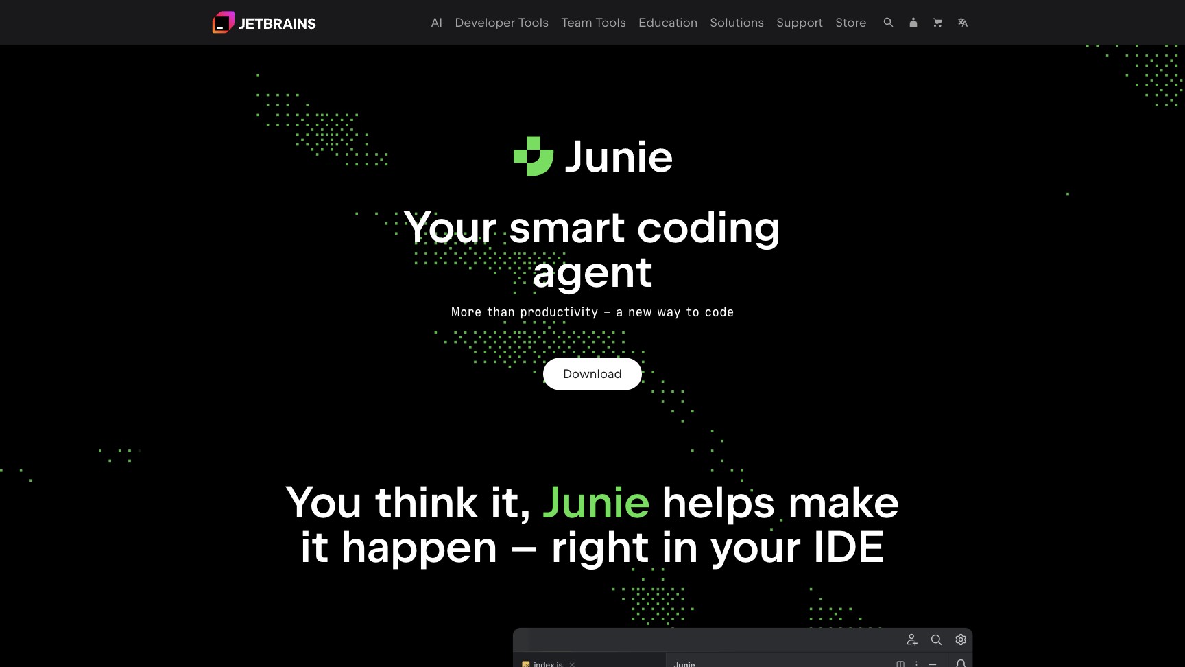 Junie截图