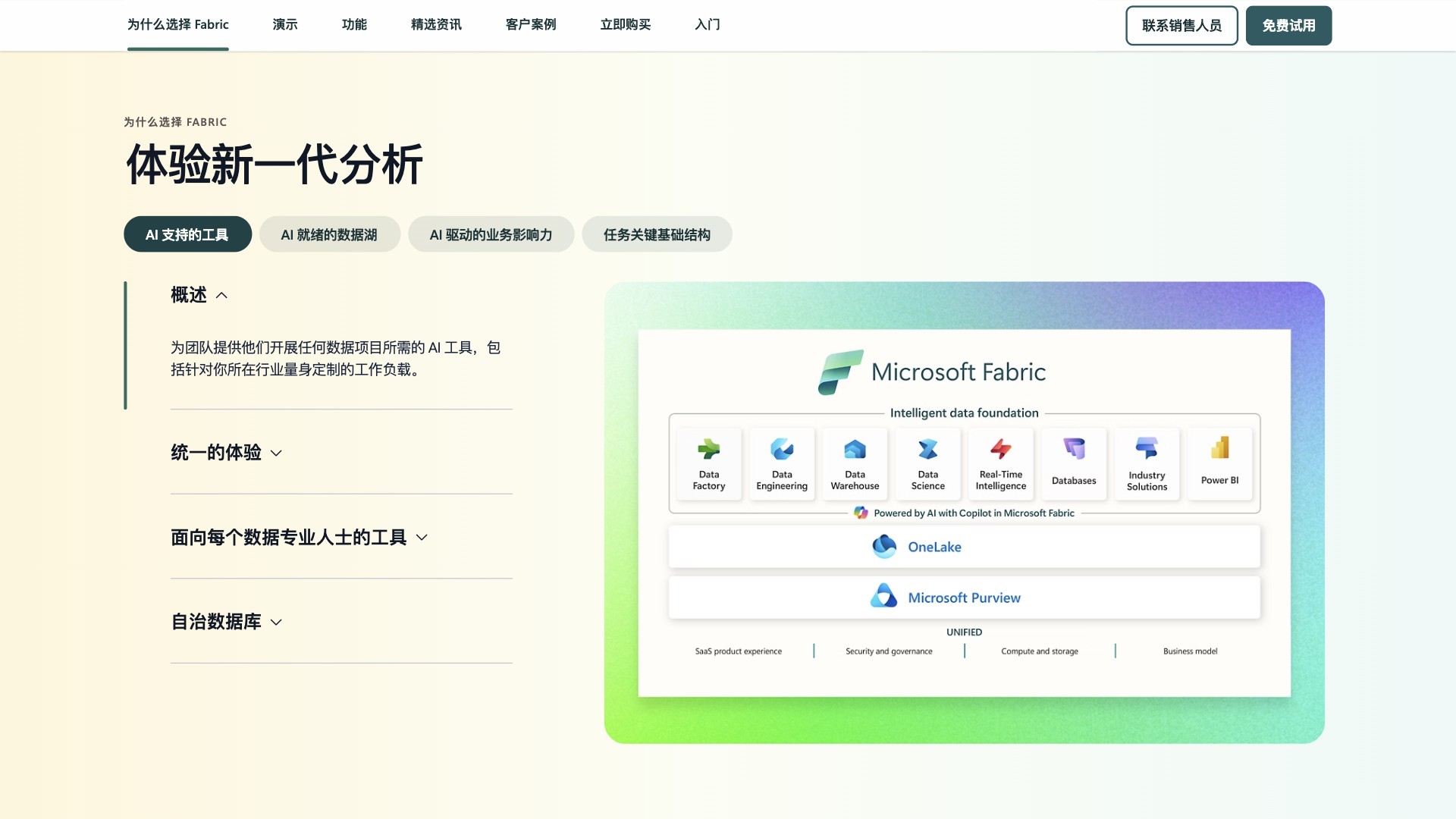 Microsoft Fabric截图